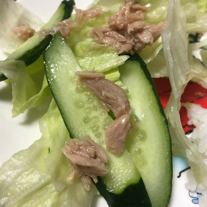 ツナときゅうりのサラダ